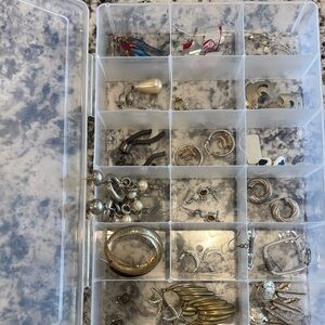 18 pair earrings in Clear Organizer Box